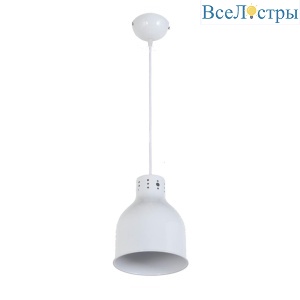 Подвесной светильник Arti Lampadari Colata E 1.3.P1 W