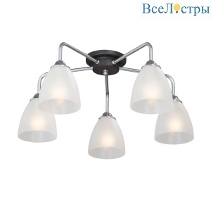 Потолочная люстра Vitaluce V4500-9/5PL
