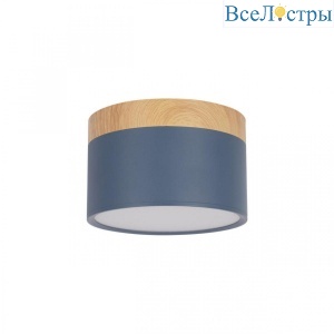 Накладной светодиодный светильник Loft IT Grape 10162 Blue