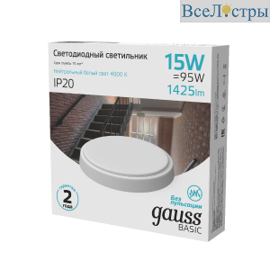 Настенно-потолочный светильник Gauss Basic 193411215B