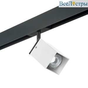 Трековый светильник Lightstar Rullo (595257+216336) PRO216336