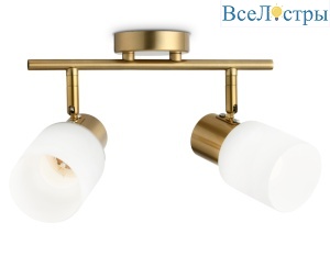 Спот Ambrella Light Traditional TR3969