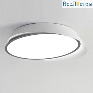 Потолочный светильник ImperiumLoft Shell 228949-26