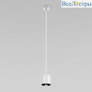 Подвесной светодиодный светильник Elektrostandard Lead 50243 LED белый a062415
