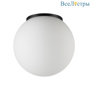 Уличный потолочный светильник Odeon Light Nature Viva 7124/1C
