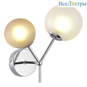 Настенный светильник Evoluce MALTE SLE1107-101-02