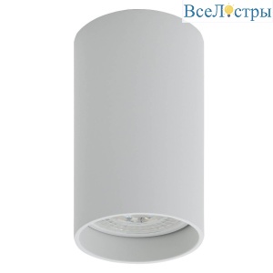 Потолочный светильник Denkirs DK2008-WH