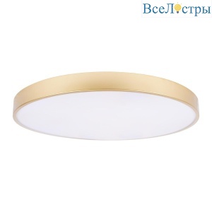 Потолочный светодиодный светильник Loft IT Flims 10228/B