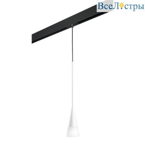Трековый светильник Lightstar Conicita (804110+595007) PRO804110