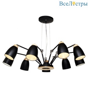 Подвесная люстра LOFT IT Watchman Loft4402/9Bl