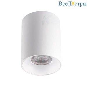 Накладной точечный светильник Kanlux RITI GU10 W/W 27569