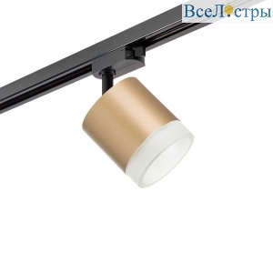 Трековый светильник Lightstar Rullo (213490+592087+202480) R1T349080