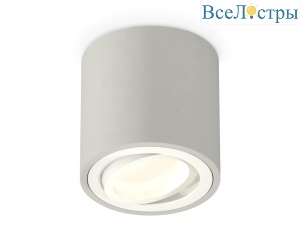 Потолочный светильник Ambrella Light Techno Spot XS7533001 (C7533, N7001)