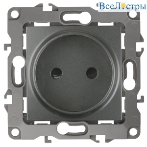 Розетка 2P Эра 12-2105-12 Б0019335
