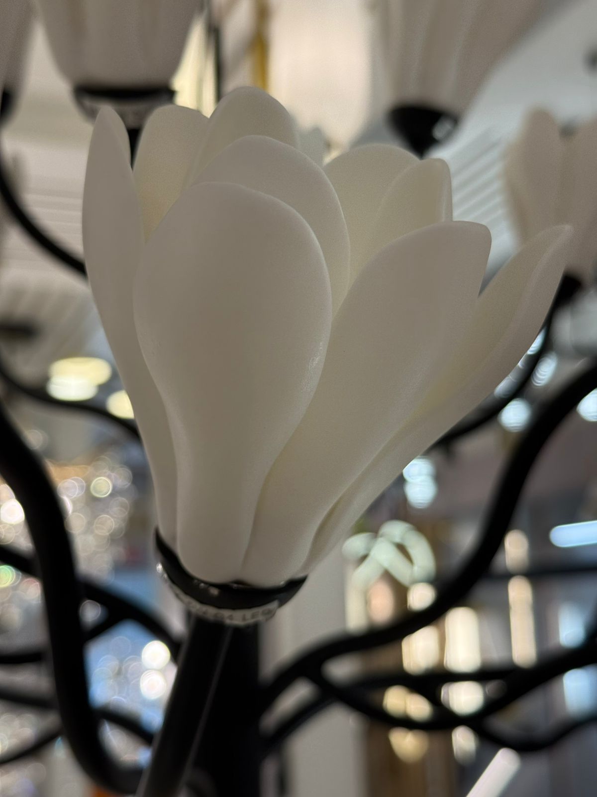 подвесная люстра odeon light gardi modern 5090/18