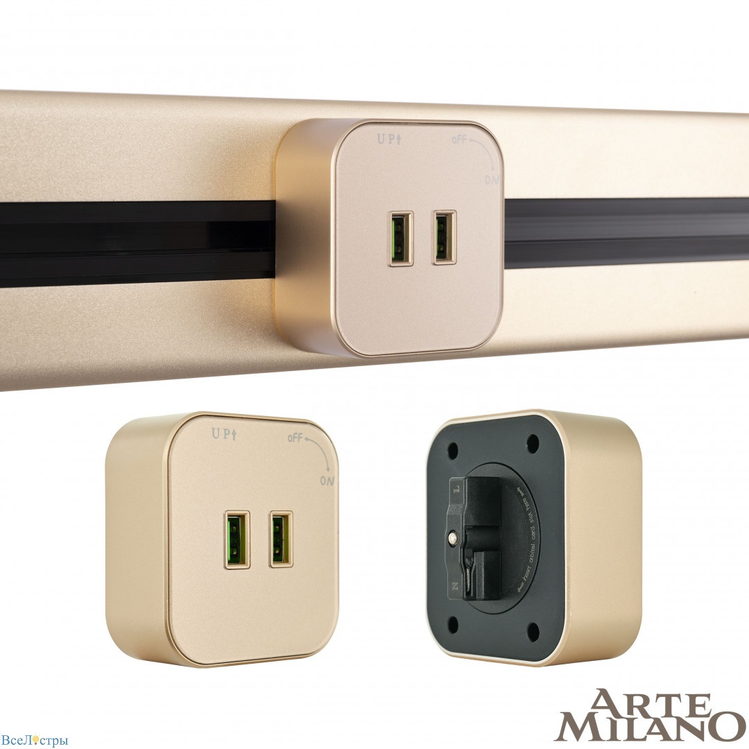 трековая розетка arte milano am-track-sockets 380022ts/usbx2 gold