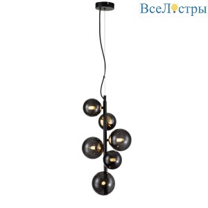 Подвесная люстра Indigo Molecola 11018/6P Black V000197