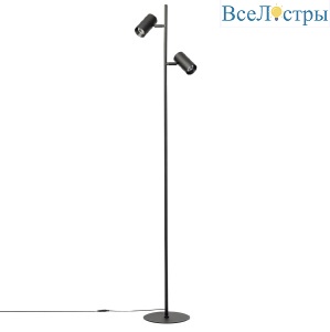 Торшер Citilux Twin CL809011N