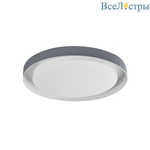 Потолочный светильник Arti Lampadari Vista L 1.13.48 W
