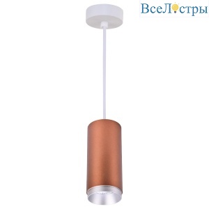 Точечный подвесной светильник Wertmark Stecken WE802.01.607+WE803.RG.200