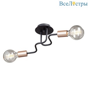 Потолочная люстра Vitaluce V4560-1/2PL