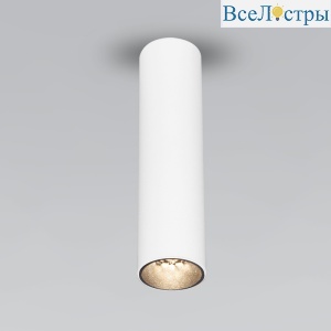 Накладной светильник Elektrostandard Pika 4690389190261 a061537