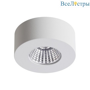 Потолочный светодиодный светильник Odeon Light Bene 4282/7CL