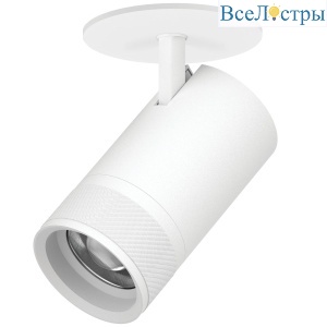 Встраиваемый светильник 20-55G с адаптером Lightstar Canno Pro C4406RS
