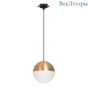 Подвесной светильник Arlight SP-EMISFERO-HANG-BUILT-R150-11W Warm3000 (GD, 170 deg, 230V) 056592
