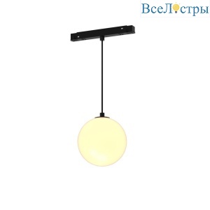 Трековый светодиодный светильник Maytoni Technical Luna TR039-4-5W3K-WW-DS