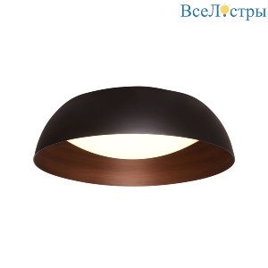 Потолочный светильник Delight Collection C019-400B black/copper