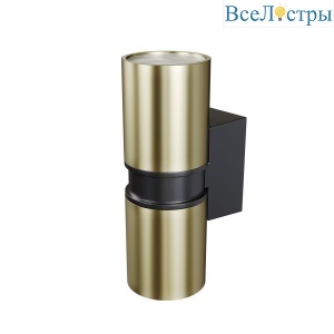 Уличный настенный светильник Maytoni Bowery O582WL-02BS