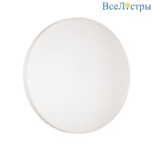 Настенно-потолочный светильник Sonex Smalli 3050/AL