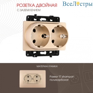 Розетка двойная с заземлением Arte Milano 217.40-2.shampan