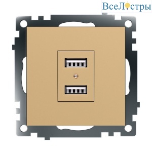 Розетка 2хUSB Stekker Катрин золото GLS10-7115-08 49229