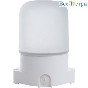 Потолочный светильник Feron НББ 01-60-001 41406