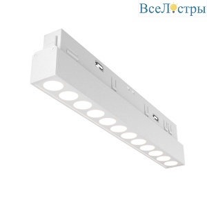 Трековый магнитный светильник Maytoni Points TR031-2-12W3K-W