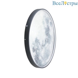 Настенный светодиодный светильник Lightstar Emisfero 737637