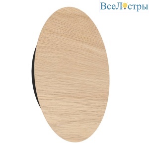 Настенный светильник Eglo Alamilo 900717