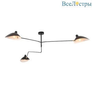 Потолочная люстра ST Luce Spruzzo SL305.402.03