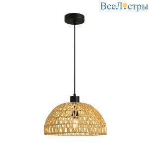 Подвесной светильник Favourite Canasto 4881-1P