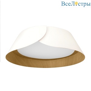 Потолочный светильник Loft IT Lane 10370 White