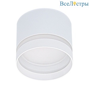 Накладной светильник Reluce 53001-9.5-001LD GX53 WT
