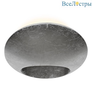Настенный светодиодный светильник iLedex Light Flux ZD8152-6W Silver
