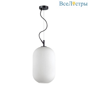 Подвесной светильник Odeon Light Roofi 4752/1