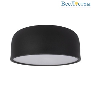 Потолочный светодиодный светильник Loft IT Axel 10201/350 Black