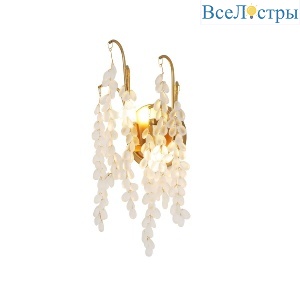 Настенный светильник Favourite Desmi 4108-2W