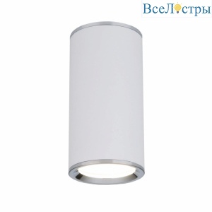 Потолочный светильник Elektrostandard DLN101 GU10 WH белый 4690389135859
