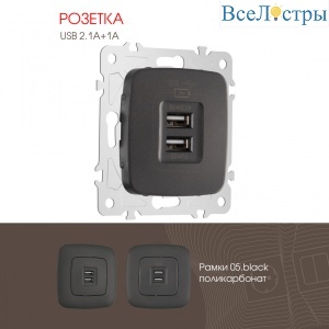 Розетка USB 2.1А+1А Arte Milano 205.46-1.black