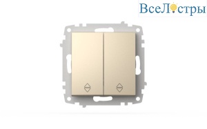 Переключатель двухклавишный проходной ELBI Zena Vega 609-012500-211